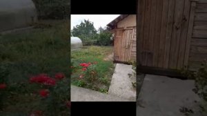 video_2025-09-19_09-24-35