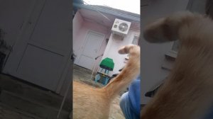 моё школьное утро.