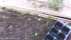 ПЕРВЫЙ ПОШЁЛ. А ЗА НИМ ЕЩЁ 9 ШТУК