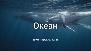 Звуки волн океана для сна, релакса, концентрации и восстановления