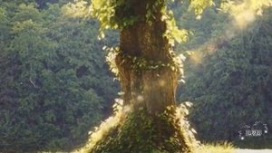 Слушать рассказ - Дочь перестала общаться с отцом - Удивительные истории из жизни