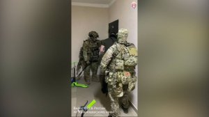 Трое мужчин организовали канал незаконной миграции в Краснодаре