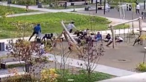 ‼️Женщина буквально перевернула 3-х летнего ребенка во дворе вырывая детскую машинку‼️