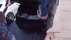 Напокупают черных машин с черными багажниками💥🥺🤣