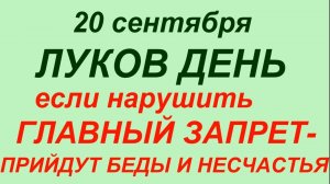 20 сентября — День лука. Что нельзя делать - 20 сентября