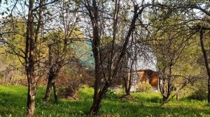 Снова замерло всё до рассвета...