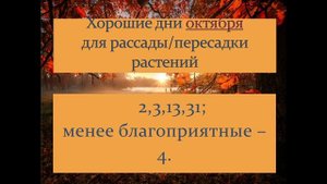 Благоприятные дни октября 2025 года для посадки/пересадки растений