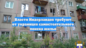 Власти Нидерландов требуют от украинцев самостоятельного поиска жилья