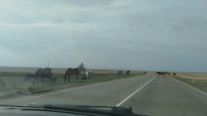 дорога на Кавказ 3