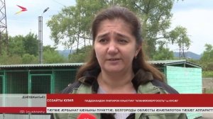 Дзæуджыхъæуы питомникы уыд гом дуæртты бон