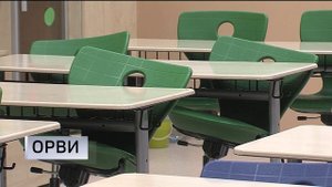 Более 700 школьных классов переведены на дистант в Тюменской области из-за ОРВИ