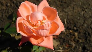 15=09=2025  ник   (120)