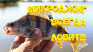 МИКРОДЖИГ ВСЕГДА ЛОВИТ 💪 С берега и с лодки 👍👍👍