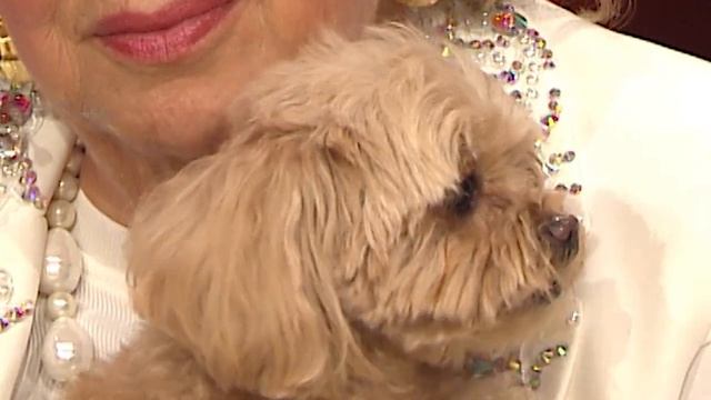 !!!Премьера Привет Андрей Юбилейный вечер Ларисы Рубальской Новый Анонс смотреть онлайн