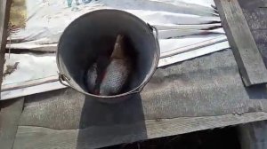 С днём космонавтики!