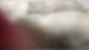 Мини распаковка яиц три кота