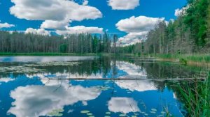 Польза и вред для человека. Преподобный Макарий Оптинский