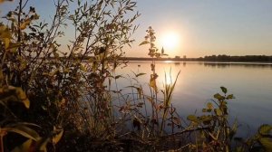 Закат сквозь золото листвы...