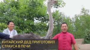 Китайский дед приготовил страуса в печи