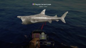 Русская рыбалка 4. Норвежское море. Гигаджиг