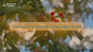 Выходные дни на территории Барнаула будут тёплыми и без осадков