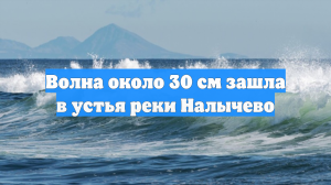 Волна около 30 см зашла в устья реки Налычево
