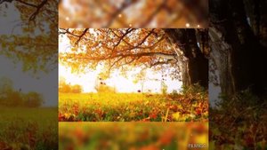 🎹 🎷 НЕСУТСЯ ГОДЫ...🎧🎶 Аудио стихи 📚  #видеостихи #стихи_о_жизни