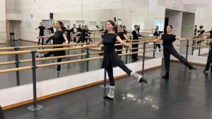 УПРАЖНЕНИЯ У ПАЛКИ