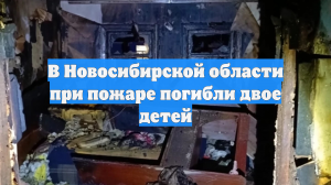 В Новосибирской области при пожаре погибли двое детей