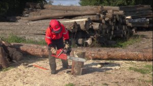 Елена Сафиуллина каждый год на два месяца становится вальщиком леса