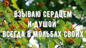 Люблю Господь Твой дом - минус мой 4