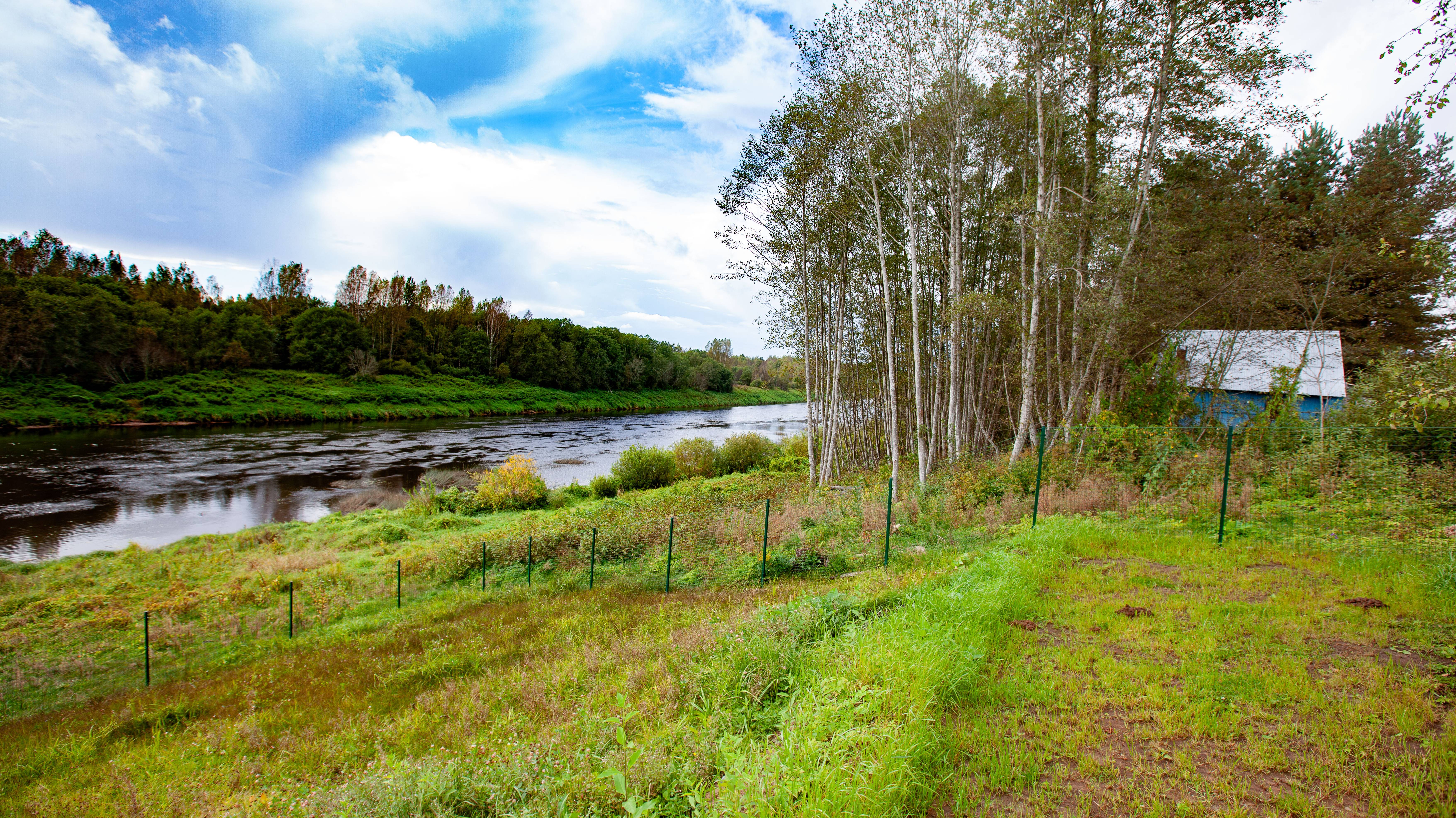 Дом на берегу реки Мста в деревне Сосницы смотреть онлайн