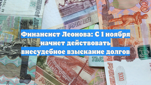Финансист Леонова: С 1 ноября начнет действовать внесудебное взыскание долгов
