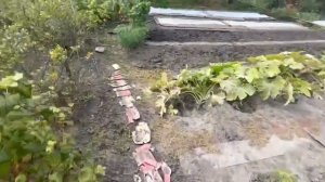 Продаётся готовая ухоженная дача в ДНТ «Береговое»