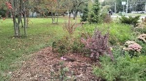 Сегодня в Москве