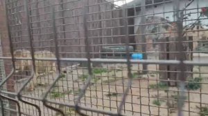 NNJQ5058 14.09.2025 Шархан Вечерняя перекличка Видео от Людмилы