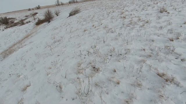 Охота на зайцев Неожиданный результат, по такому хрусту смотреть онлайн