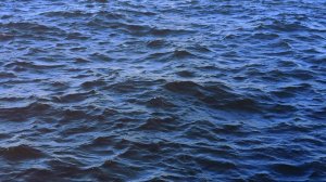 Переезд в Питер 2 часть