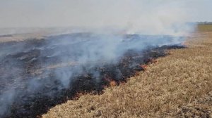 SHOT: пожар в пригороде Аланьи приближается к отелям с туристами из России