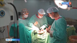 Белгородского врача Александра Нетребенко признали лучшим молодым онкологом России