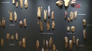 Зарайская стоянка эпохи палеолита