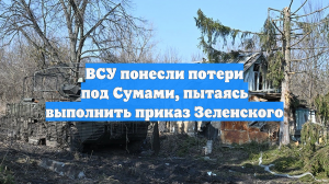 ВСУ понесли потери под Сумами, пытаясь выполнить приказ Зеленского