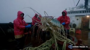 Videos and music created by AI