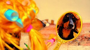 Встаешь утром, смотришь в зеркало...И ... Юмор.