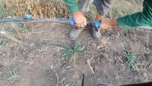 КАК ПРАВЕЛЬНО СОБРАТЬ КАПЕЛЬНЫЙ ПОЛИВ НА ЗИМУ.