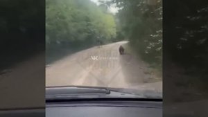 Видео от HackAvto – Лайфхаки и фишки для авто