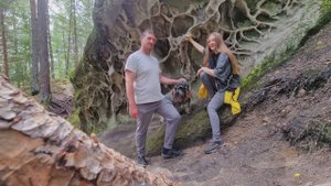 Каменный лес 2025 .mp4