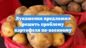 Лукашенко предложил решить проблему картофеля по-военному