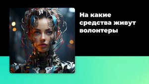 На какие средства живут волонтеры