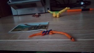 три самых смешных названия динозавров